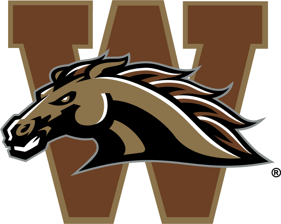 Western Michigan Broncos 1998-2016 Secondary Logo v2 diy DTF decal sticker